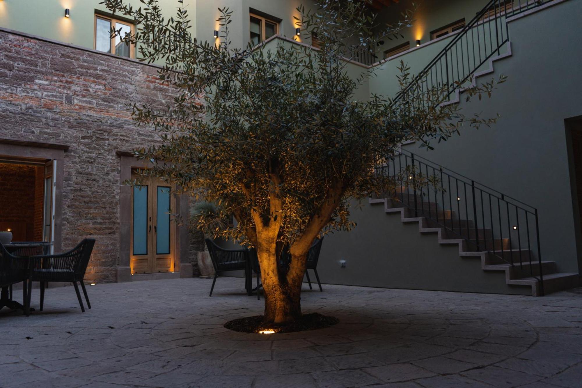 Hotel Casa Aranzazu San Luis Potosí Exteriér fotografie